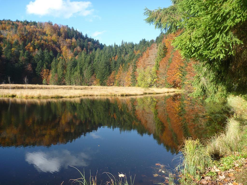 Les Myrtilles Le Bonhomme Bagian luar foto