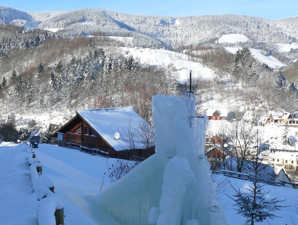 Les Myrtilles Le Bonhomme Ruang foto